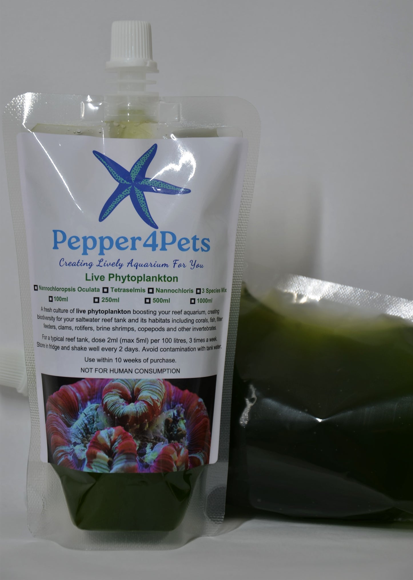 Live Phytoplankton (Tetraselmis), concentrated, for your coral rotifer &copepods