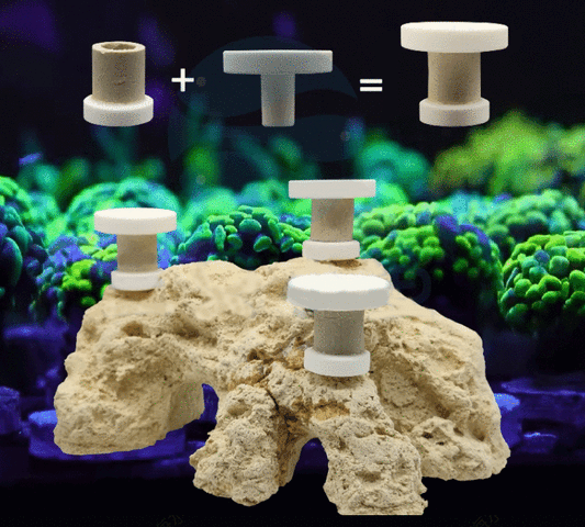 Movable Coral Frag Plugs - Unique Design for Easy Cleaning, Dipping & Fragging